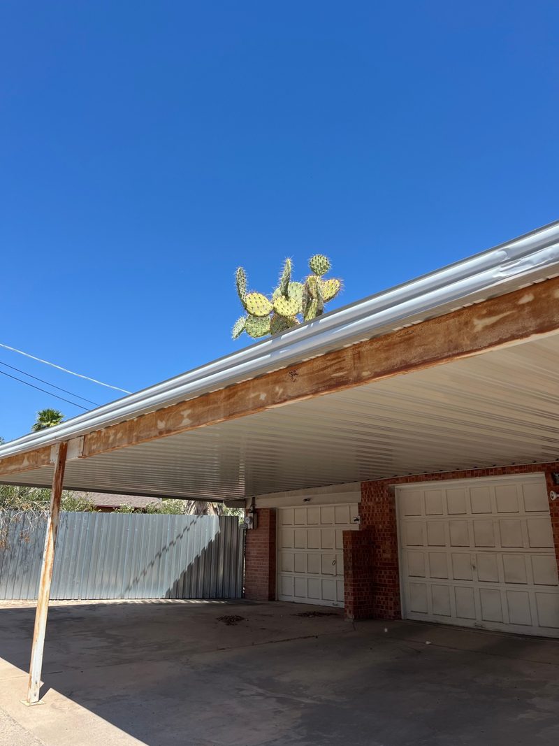 A wide view of the carport: a prickly pear cactus rising out of the rain gutter along the roofline, against a deep blue sky.